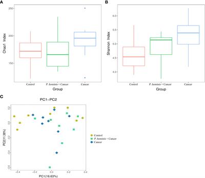 Changes of gut microbiota in colorectal cancer patients with Pentatrichomonas hominis infection
